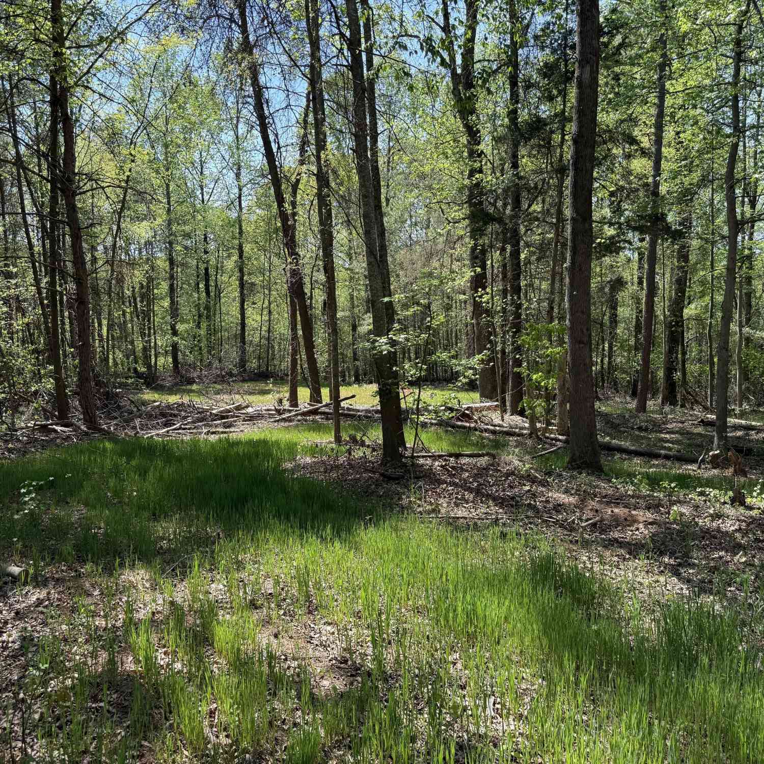 Vacant Land For Sale - Panhandler Circle (2c)<br/> Jackson County, Maysville, GA 30558
