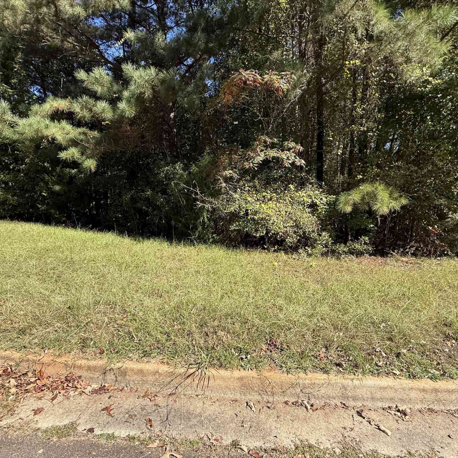 Vacant Land For Sale - 1333 Nickel Oak Bend<br/> McDonough, GA 30252