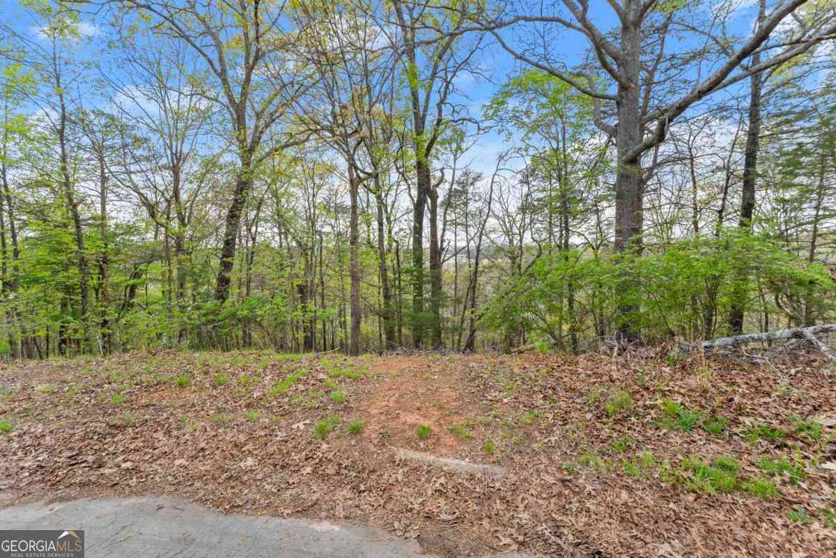 Vacant Land For Sale - 2517 Thompson Overlook<br/> Gainesville, GA 30506