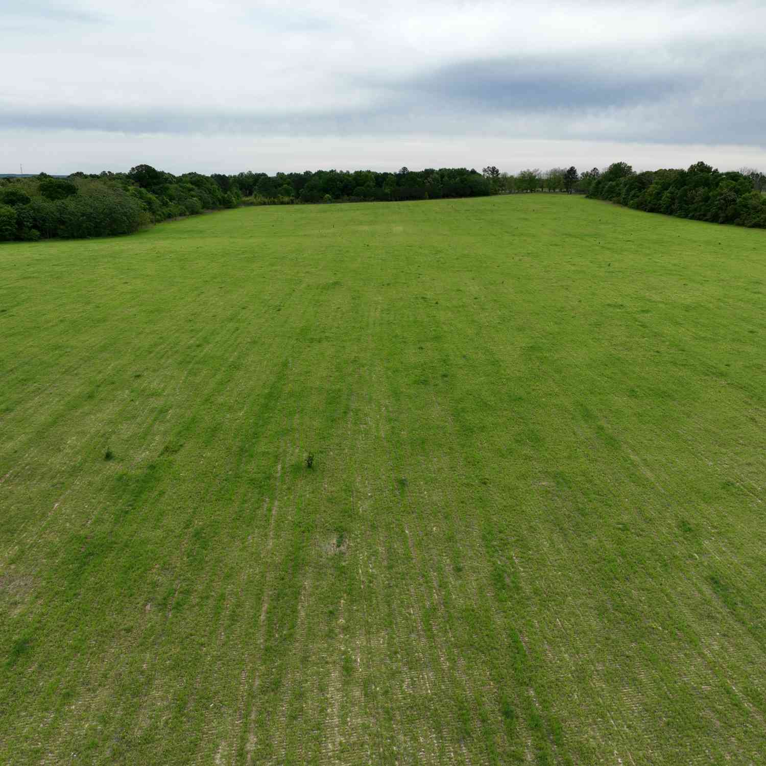 Vacant Land For Sale - Fourteen Lane Road<br/> Hawkinsville, GA 31036