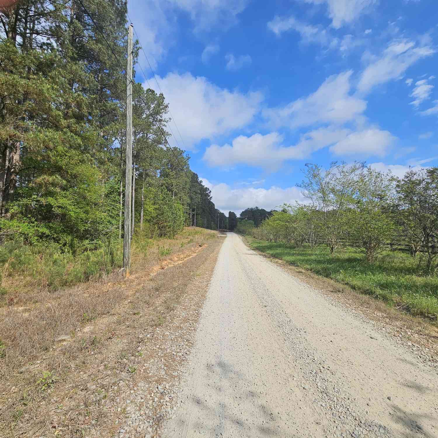 Vacant Land For Sale - LOT 12 Gregg Shoals Drive<br/> Elberton, GA 30635