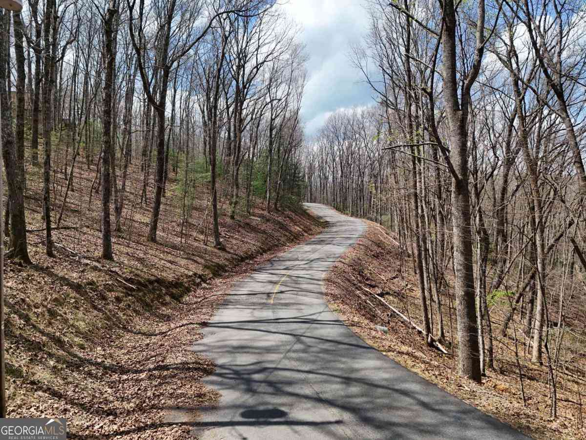 Vacant Land For Sale - L129/124 Laurel Crossing<br/> Blue Ridge, GA 30513