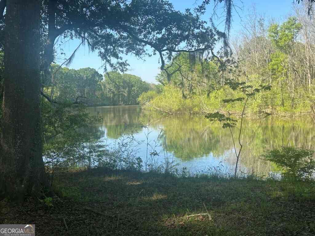 Vacant Land For Sale - Old Poor Robin Road<br/> Sylvania, GA 30467