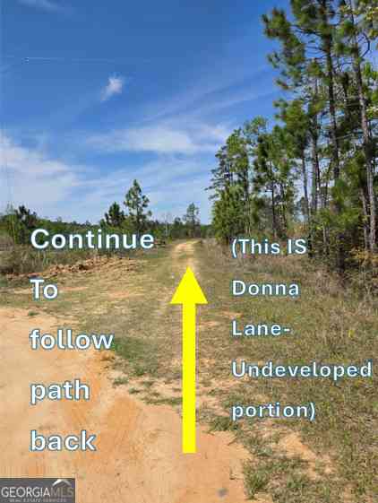 Vacant Land For Sale - Serenity Lane<br/> Toombs County, Vidalia, GA 30474