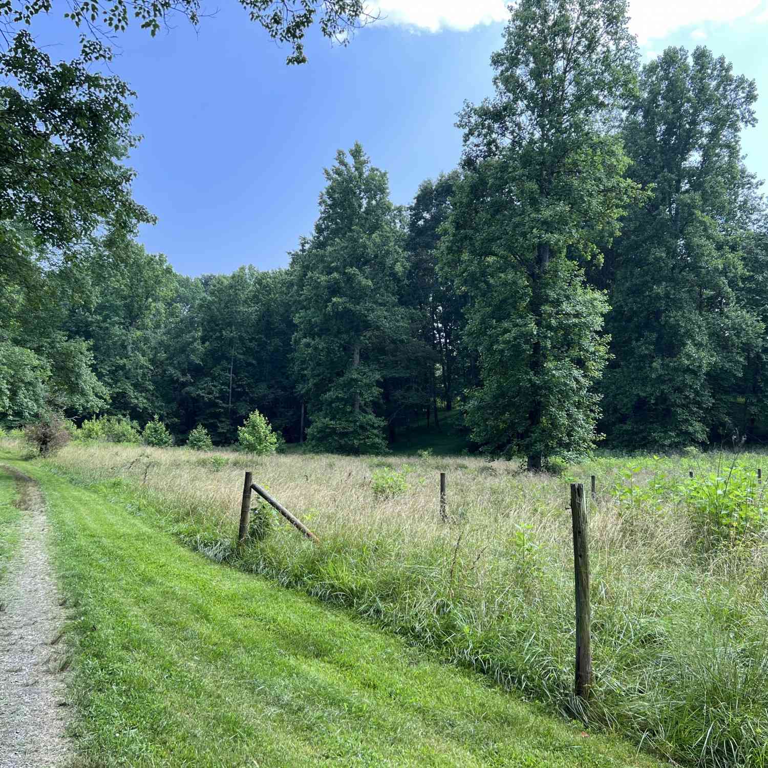 Vacant Land For Sale - Old H K Wagon Road<br/> Cleveland, GA 30528