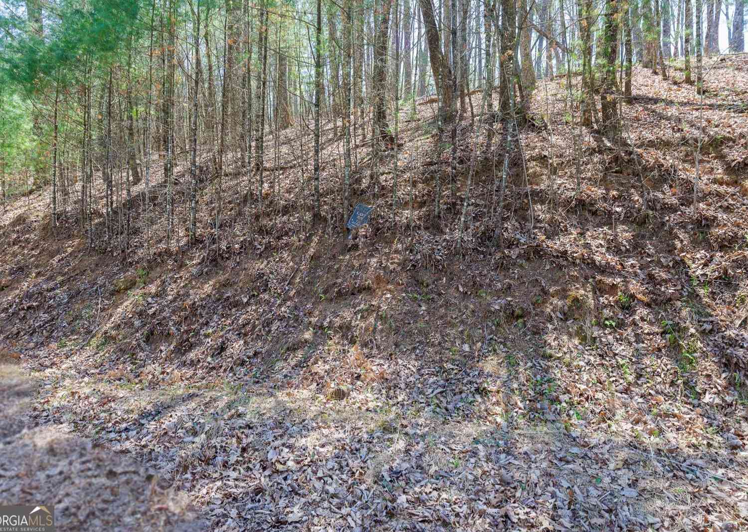 Vacant Land For Sale - Laurel Trail #LOT 54<br/> Suches, GA 30572