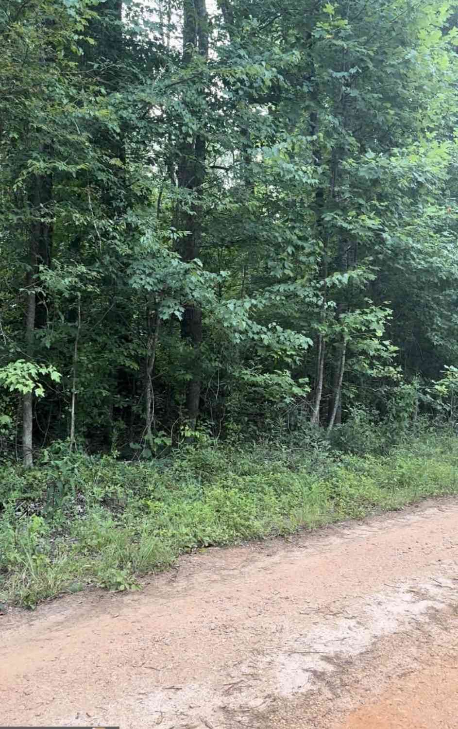 Vacant Land For Sale - Morris Trail Lot 2<br/> Carnesville, GA 30521