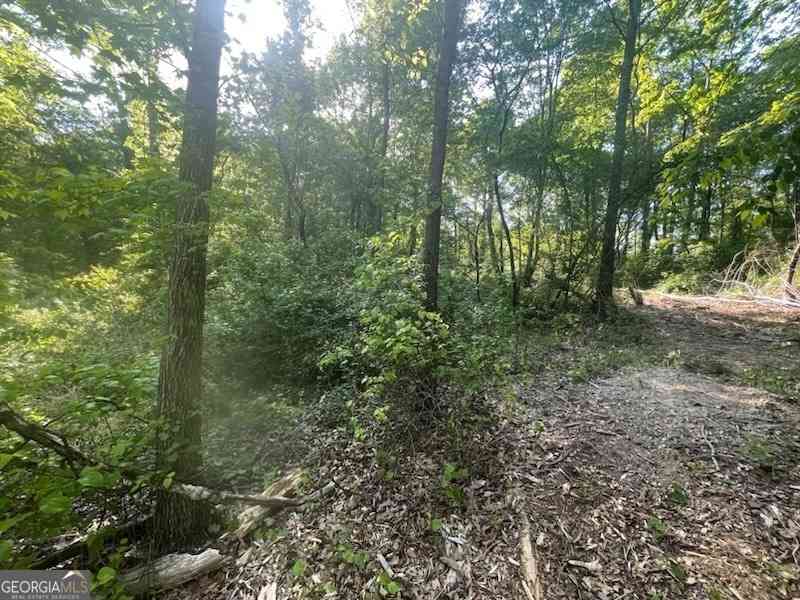 Vacant Land For Sale - 815 Aj Irvin<br/> Talmo, GA 30575