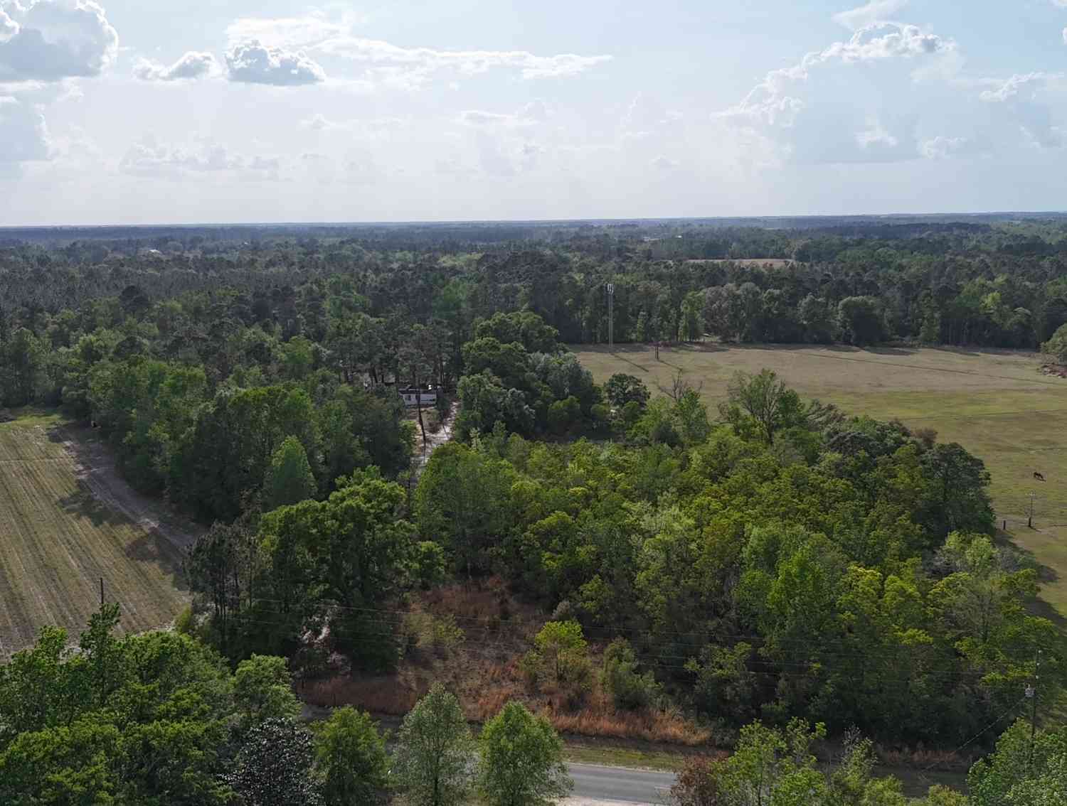 Vacant Land For Sale - TRACT 4 Spring Branch Road<br/> Baxley, GA 31513