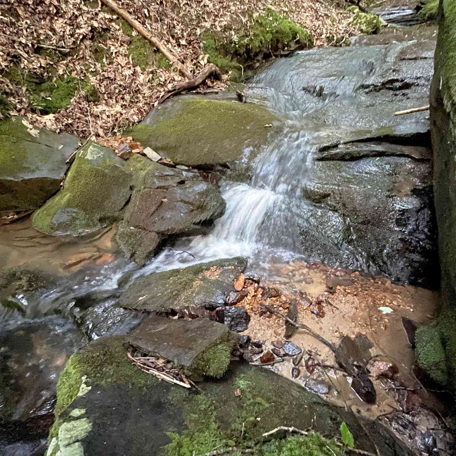 Vacant Land For Sale - 64 Kristen Lane<br/> Ellijay, GA 30540