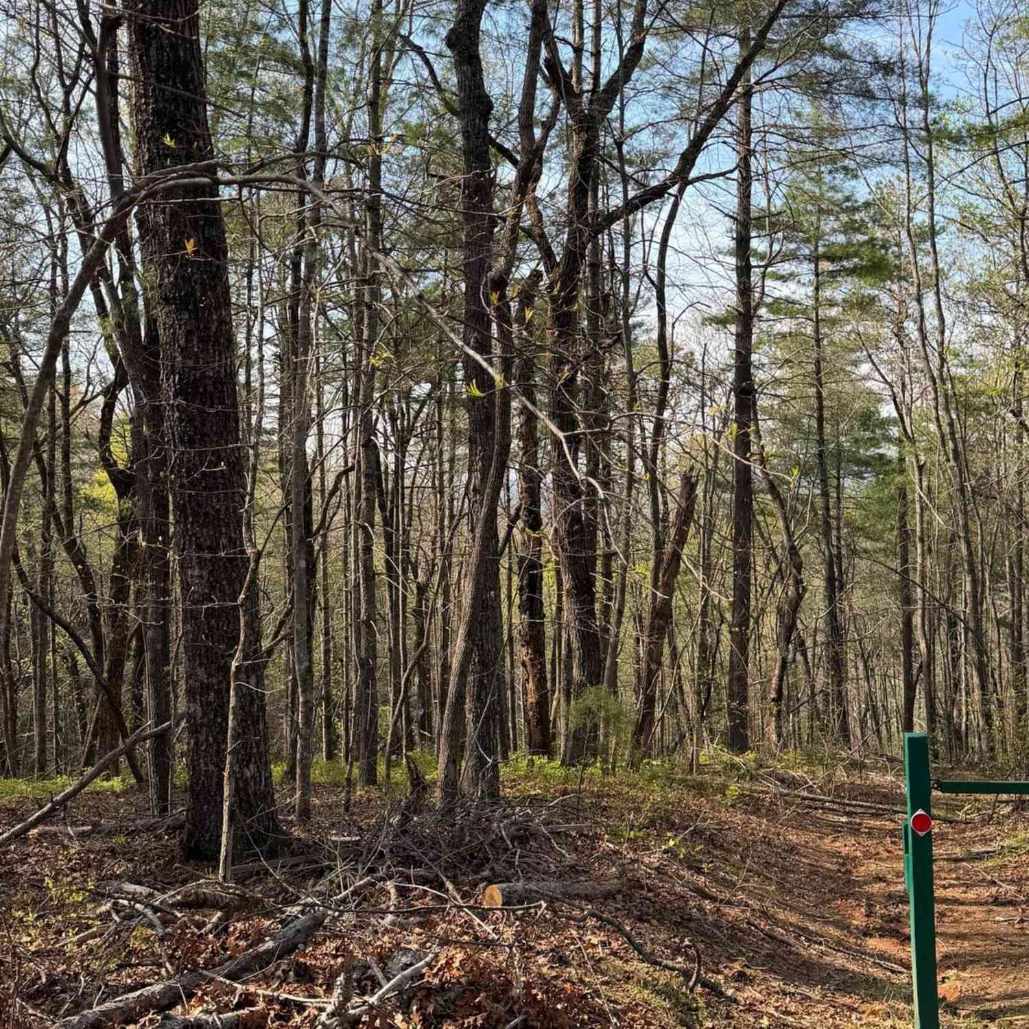 Vacant Land For Sale - 552 Long Laurel Ridge 6.65 Acres #LOT 2<br/> Lakemont, GA 30552