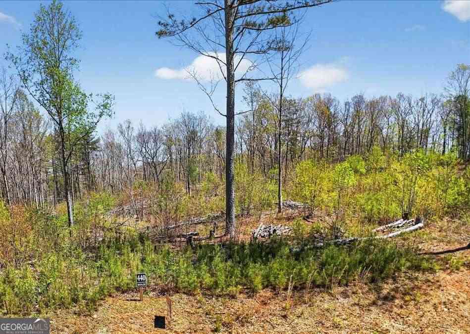 Vacant Land For Sale - Twisted Oak Road #LOT 440<br/> Talking Rock, GA 30175