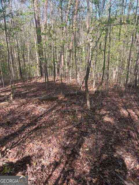 Vacant Land For Sale - Heatherwood Way<br/> Talking Rock, GA 30175