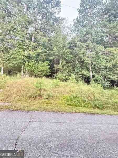 Vacant Land For Sale - 2569 Pinewood Drive<br/> Conyers, GA 30012