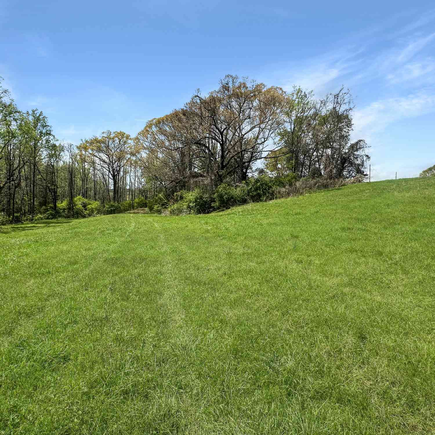 Vacant Land For Sale - 965 Gooseneck Road<br/> Stephens County, Eastanollee, GA 30538
