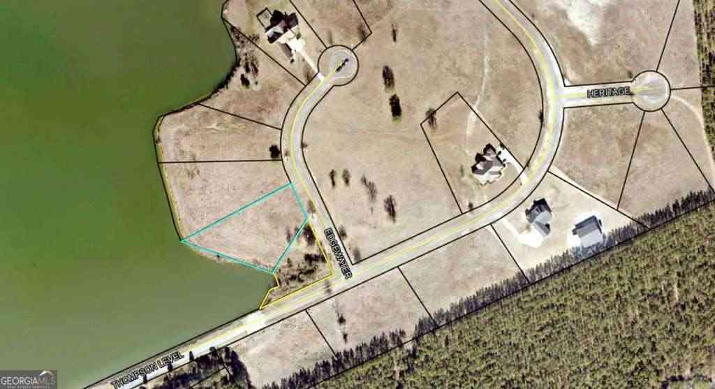 Vacant Land For Sale - 600 Thompson Level Road<br/> Toombs County, Lyons, GA 30436