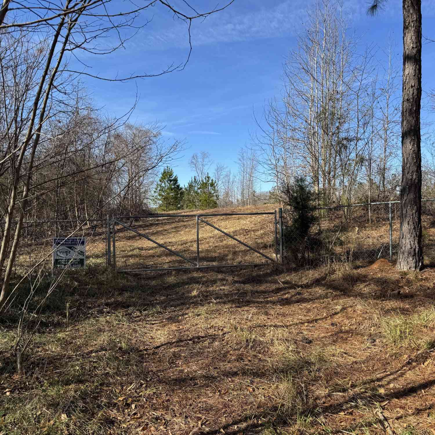 Vacant Land For Sale - 738 Old Mineral Springs Road<br/> Elberton, GA 30635
