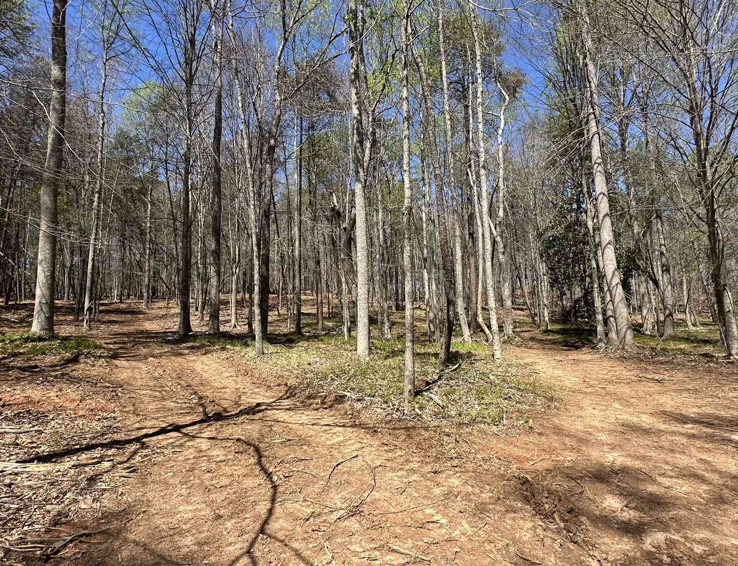 Vacant Land For Sale - 200 Annandale Drive<br/> Habersham County, Clarkesville, GA 30523