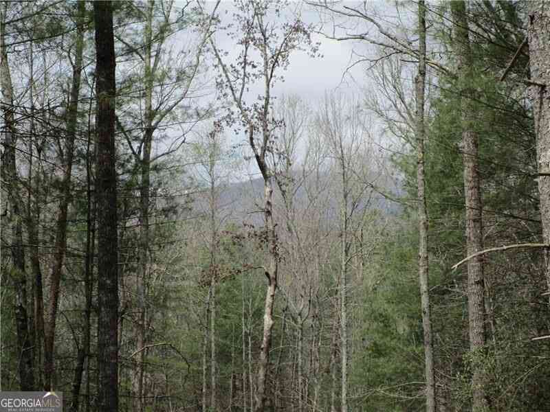 Vacant Land For Sale - 3 AC East New Hope Road<br/> Ellijay, GA 30536