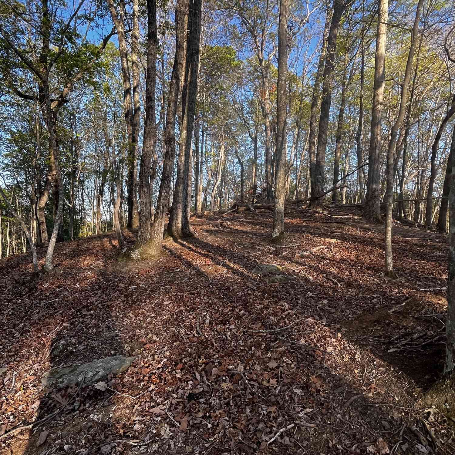 Vacant Land For Sale - 130 Lakeview Walk<br/> Baldwin, GA 30511