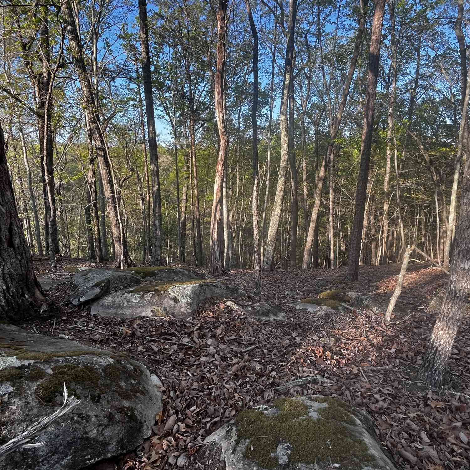 Vacant Land For Sale - 140 Lakeview Walk<br/> Baldwin, GA 30511