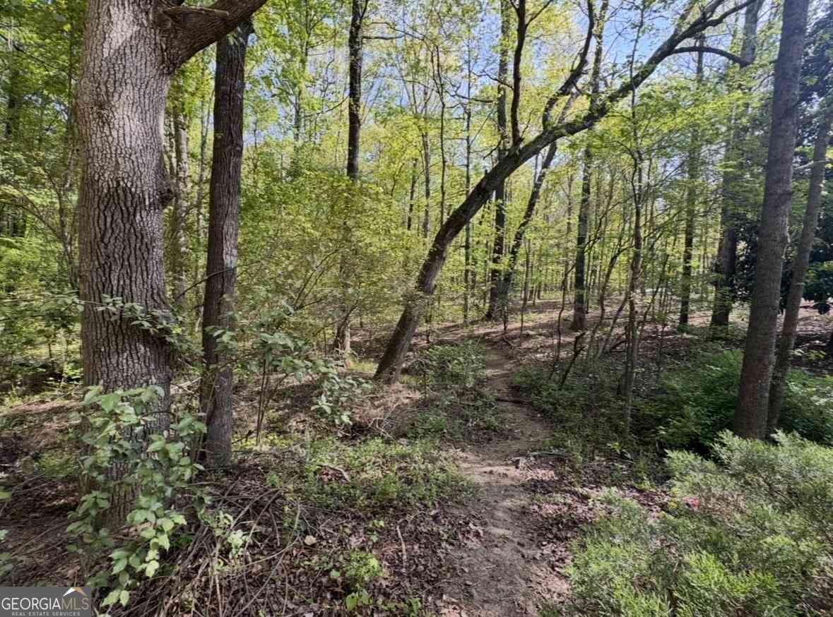 Vacant Land For Sale - 140 Emerald Lane<br/> Fayetteville, GA 30214