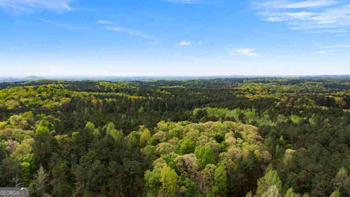 Vacant Land For Sale - 600 Taylorsville Road<br/> Aragon, GA 30104