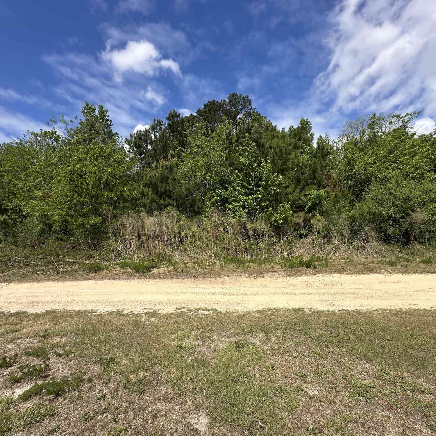 Vacant Land For Sale - 27 Penny Drive # 27<br/> Cook County, Hahira, GA 31632