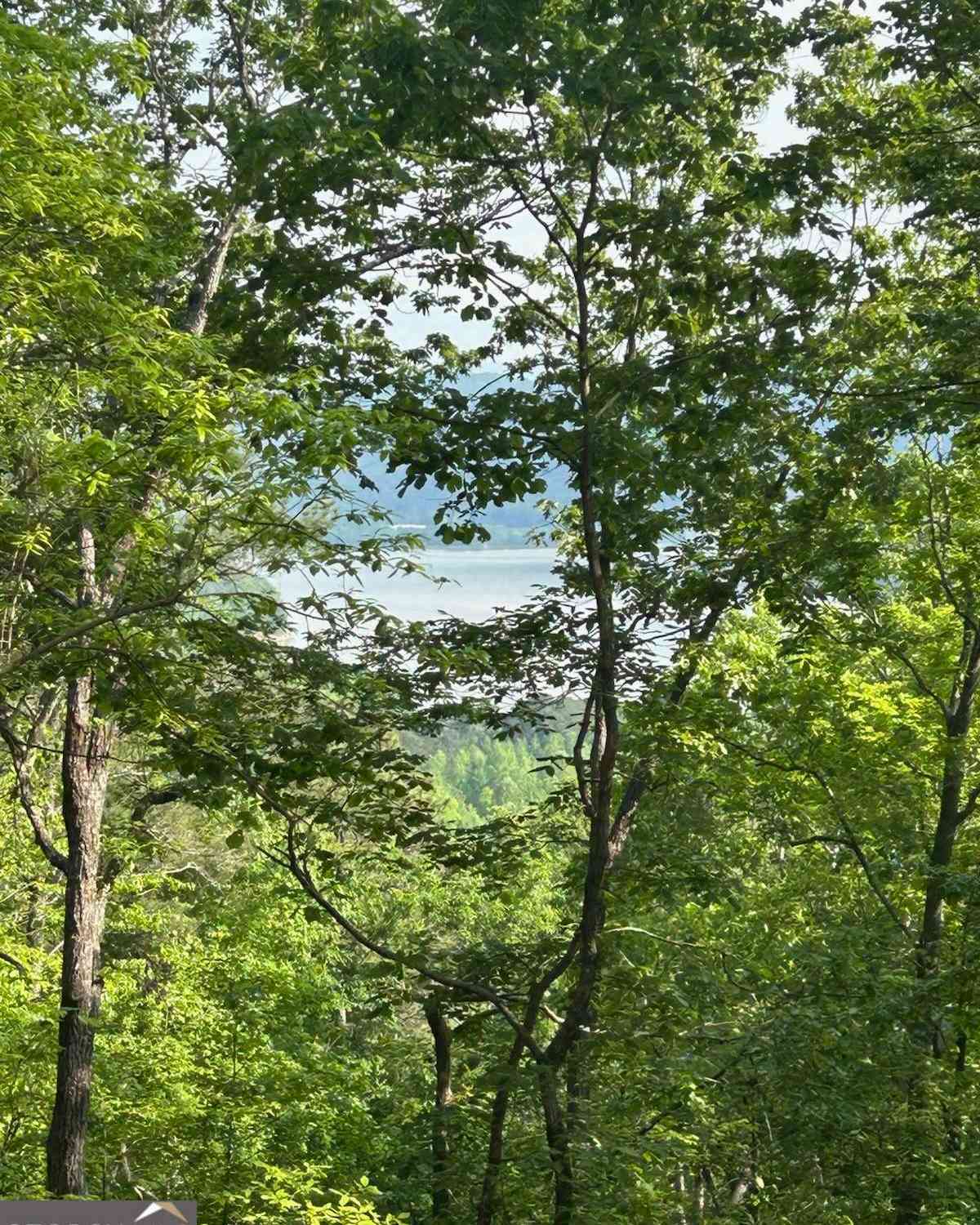 Vacant Land For Sale - 324 Adair Drive<br/> Ranger, GA 30734