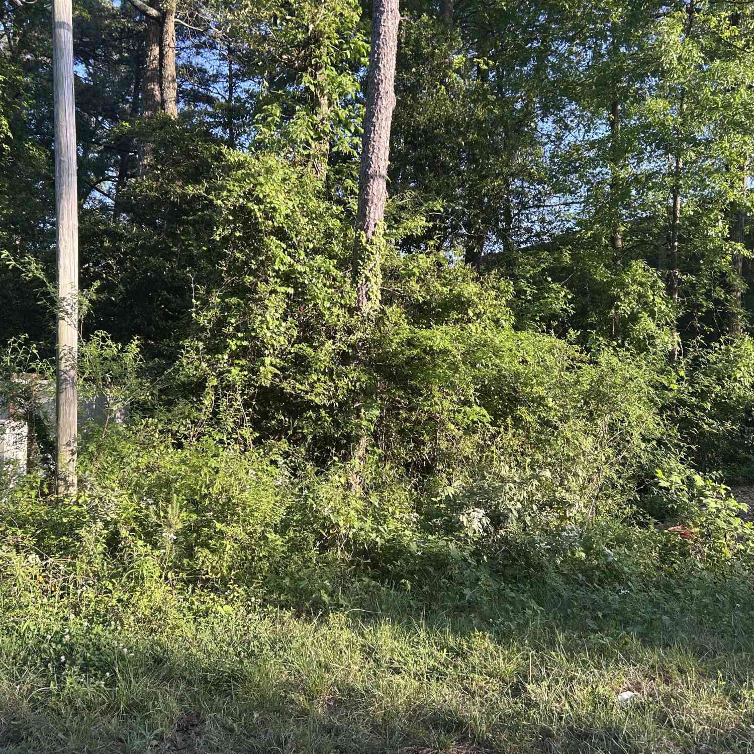 Vacant Land For Sale - 1064 Barnes Mill Road<br/> Marietta, GA 30062
