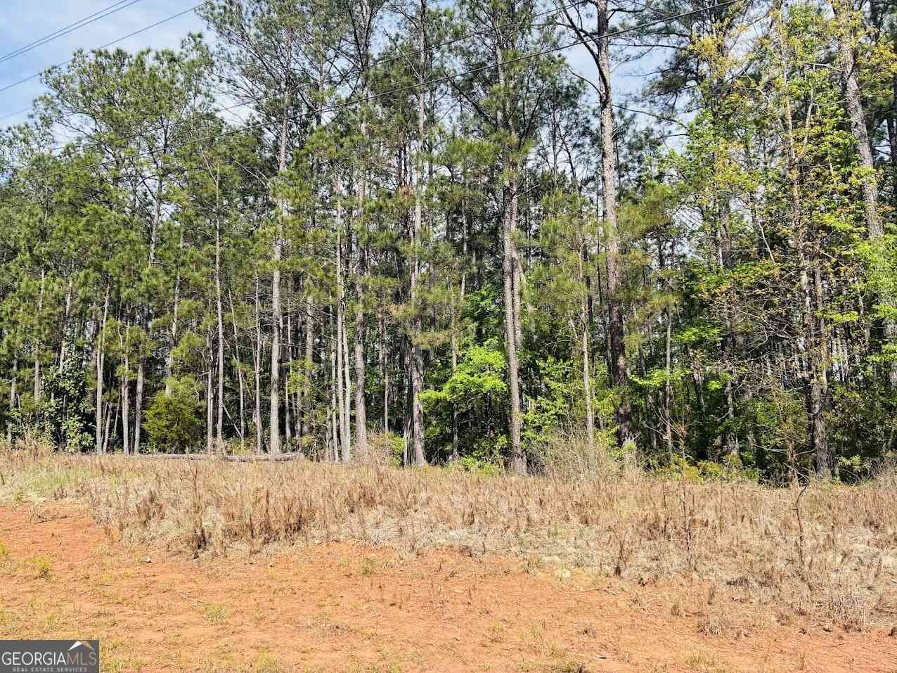 Vacant Land For Sale - Whitesville/ Burkes Chapel Road<br/> LaGrange, GA 30241