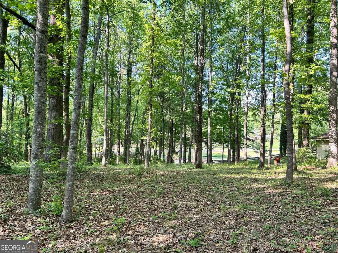 Vacant Land For Sale - 5219 Union Hill #3<br/> Alpharetta, GA 30004
