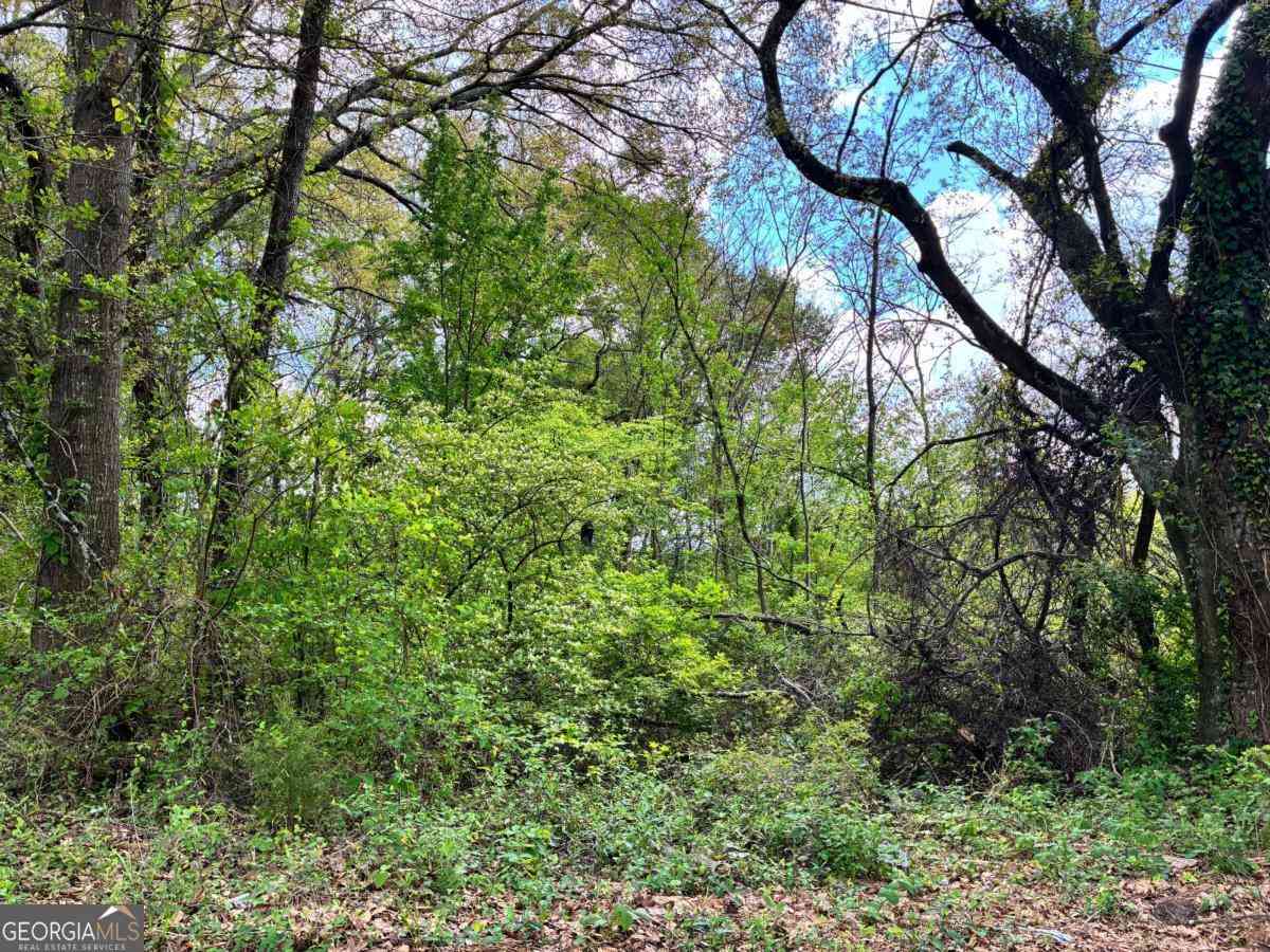 Vacant Land For Sale - 420 Pickfair Avenue SW<br/> Atlanta, GA 30315