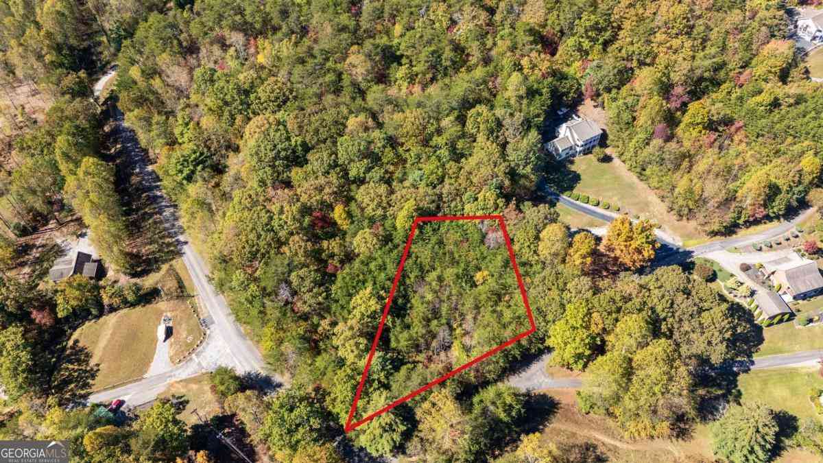 Vacant Land For Sale - LOT 1 Twin Mountain Road<br/> Hiawassee, GA 30546