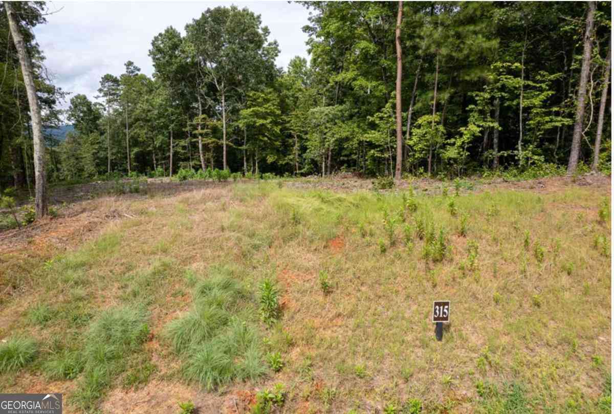 Vacant Land For Sale - LOT 315 Pebble Trace #315<br/> Talking Rock, GA 30175