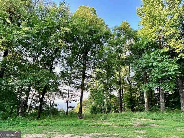 Vacant Land For Sale - Mountainside Drive #LOT 17<br/> Cleveland, GA 30528