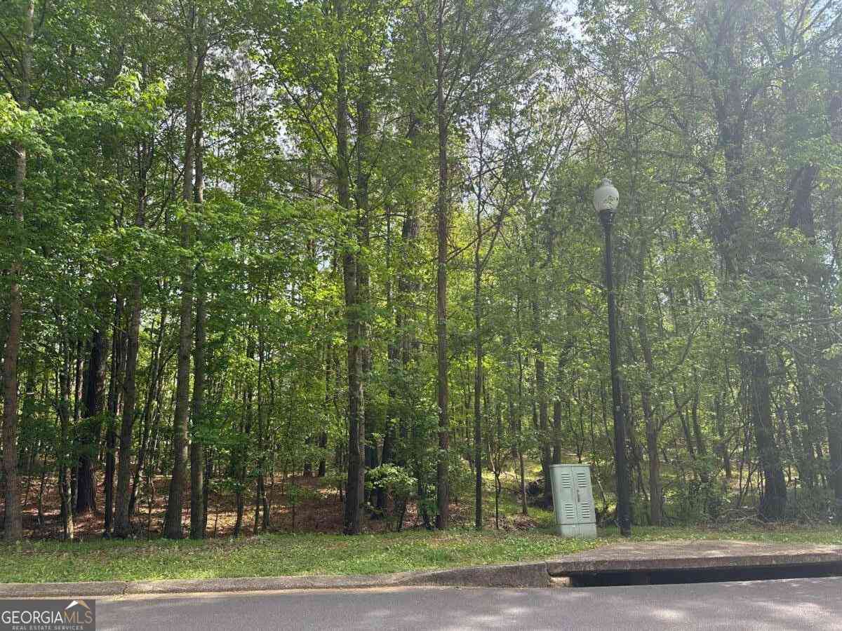 Vacant Land For Sale - 106 Nelson Boulevard NW<br/> Rome, GA 30165