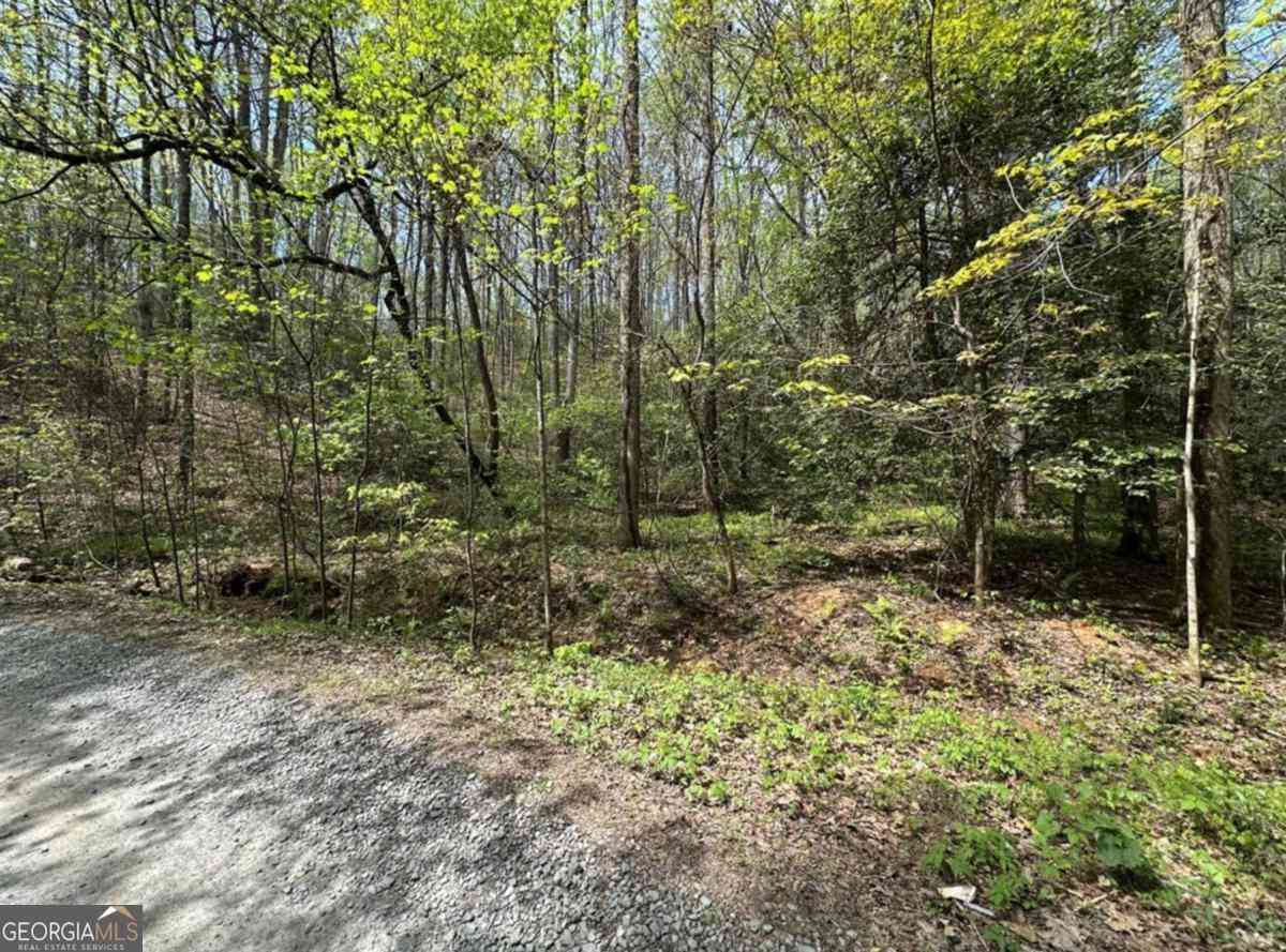 Vacant Land For Sale - LOT 20 Big Ben Road #20<br/> Ellijay, GA 30540