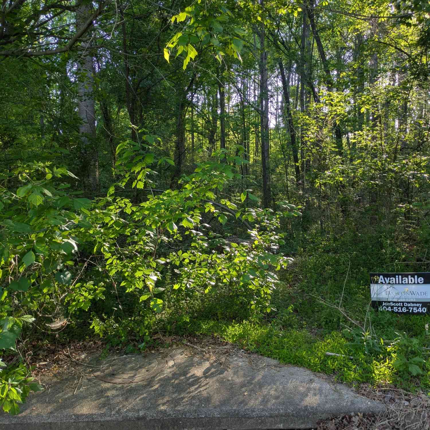 Vacant Land For Sale - 4147 Summer Wood Drive<br/> Snellville, GA 30039
