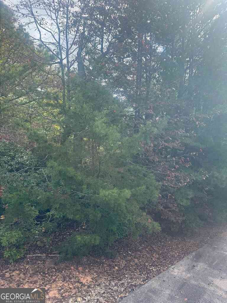 Vacant Land For Sale - LOT 16 Brown Hawk Drive<br/> Clayton, GA 30525