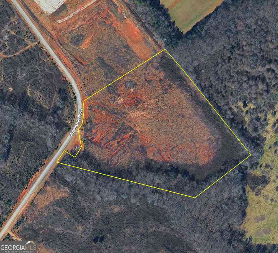 Vacant Land For Sale - Bill Little Parkway<br/> Carnesville, GA 30521
