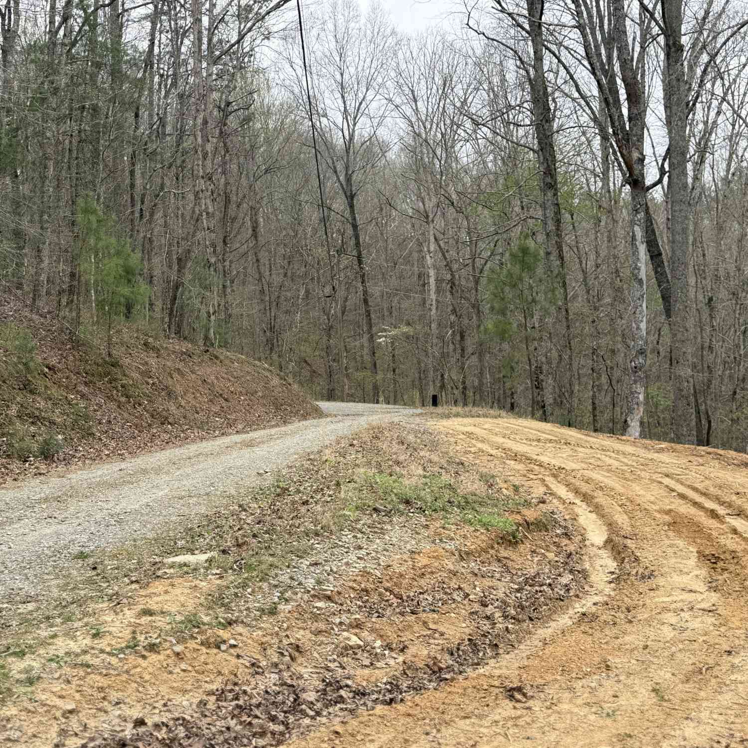 Vacant Land For Sale - 135 Flat Ridge Road<br/> Ellijay, GA 30540