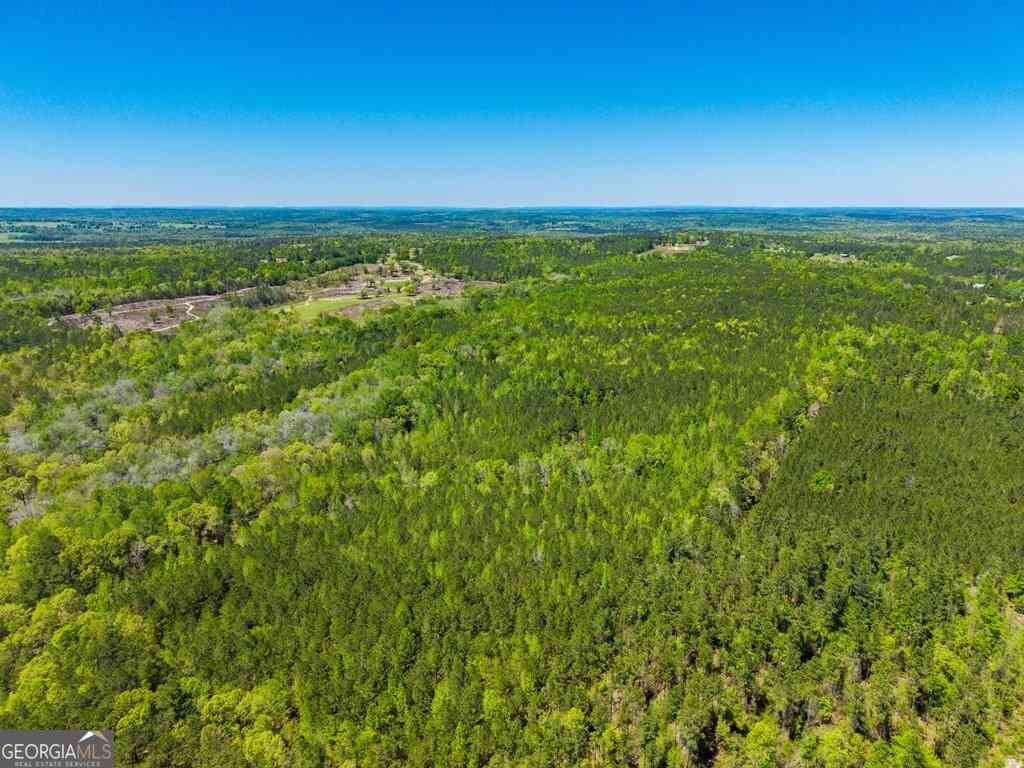 Vacant Land For Sale - Wainwright Road<br/> Butler, GA 31006