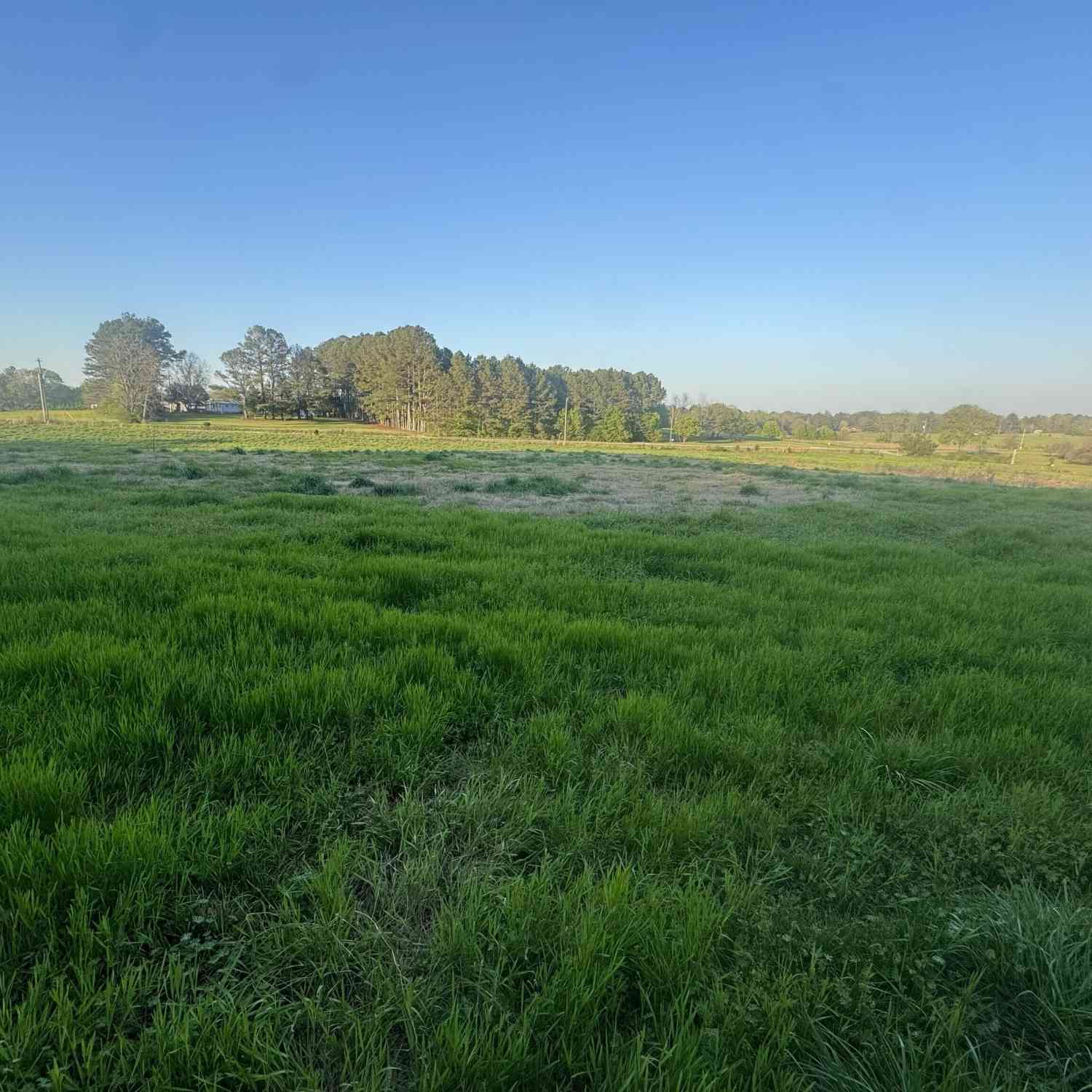 Vacant Land For Sale - Thankful Road<br/> Madison, GA 30650