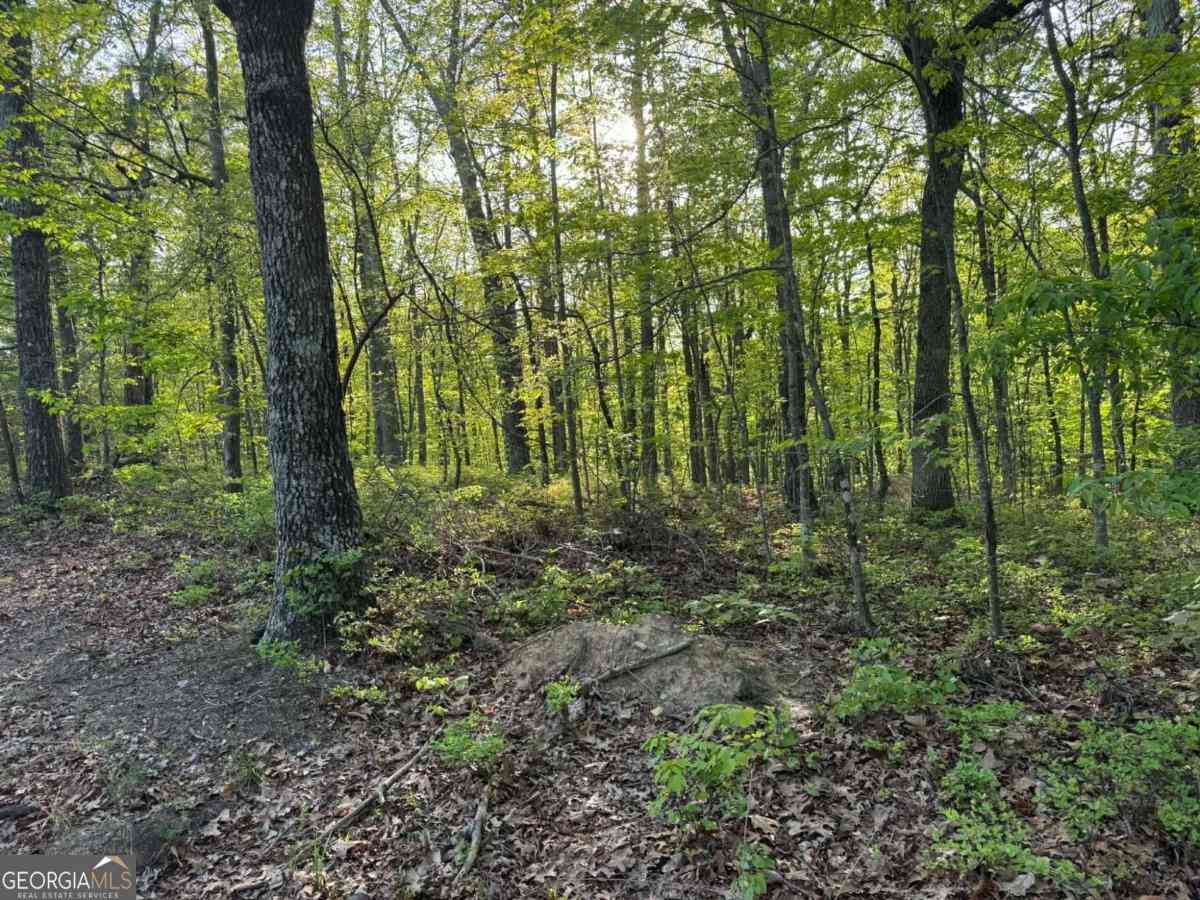Vacant Land For Sale - 1440 Hanna Drive<br/> Ranger, GA 30734