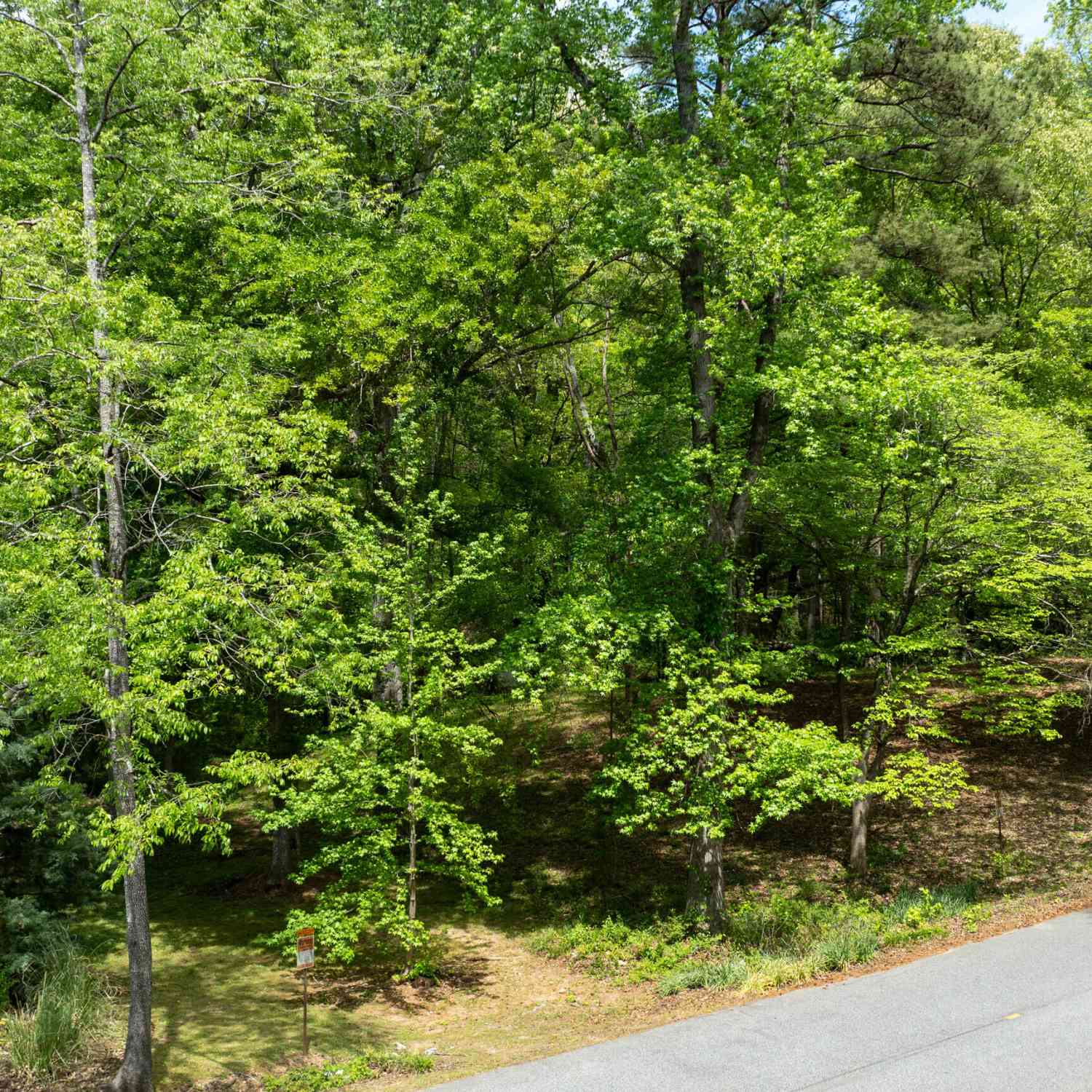 Vacant Land For Sale - Glenmar Drive<br/> Newnan, GA 30263