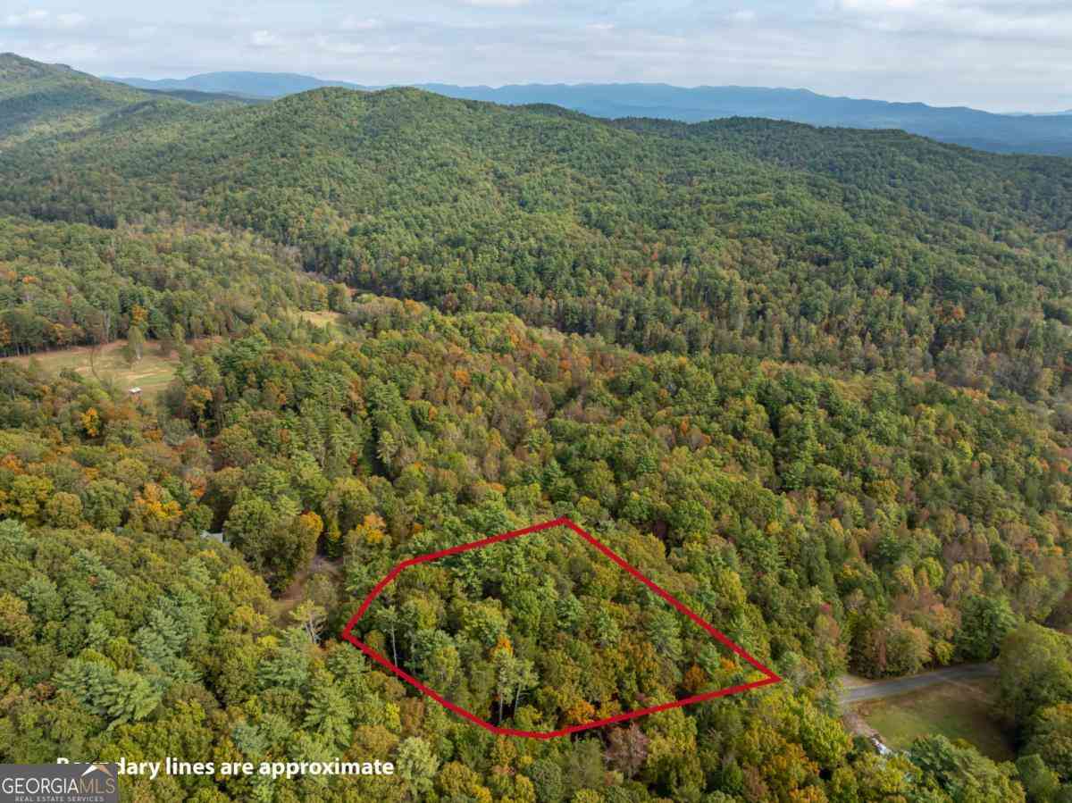 Vacant Land For Sale - LOT 1 Chief Whitetails Road<br/> Ellijay, GA 30540