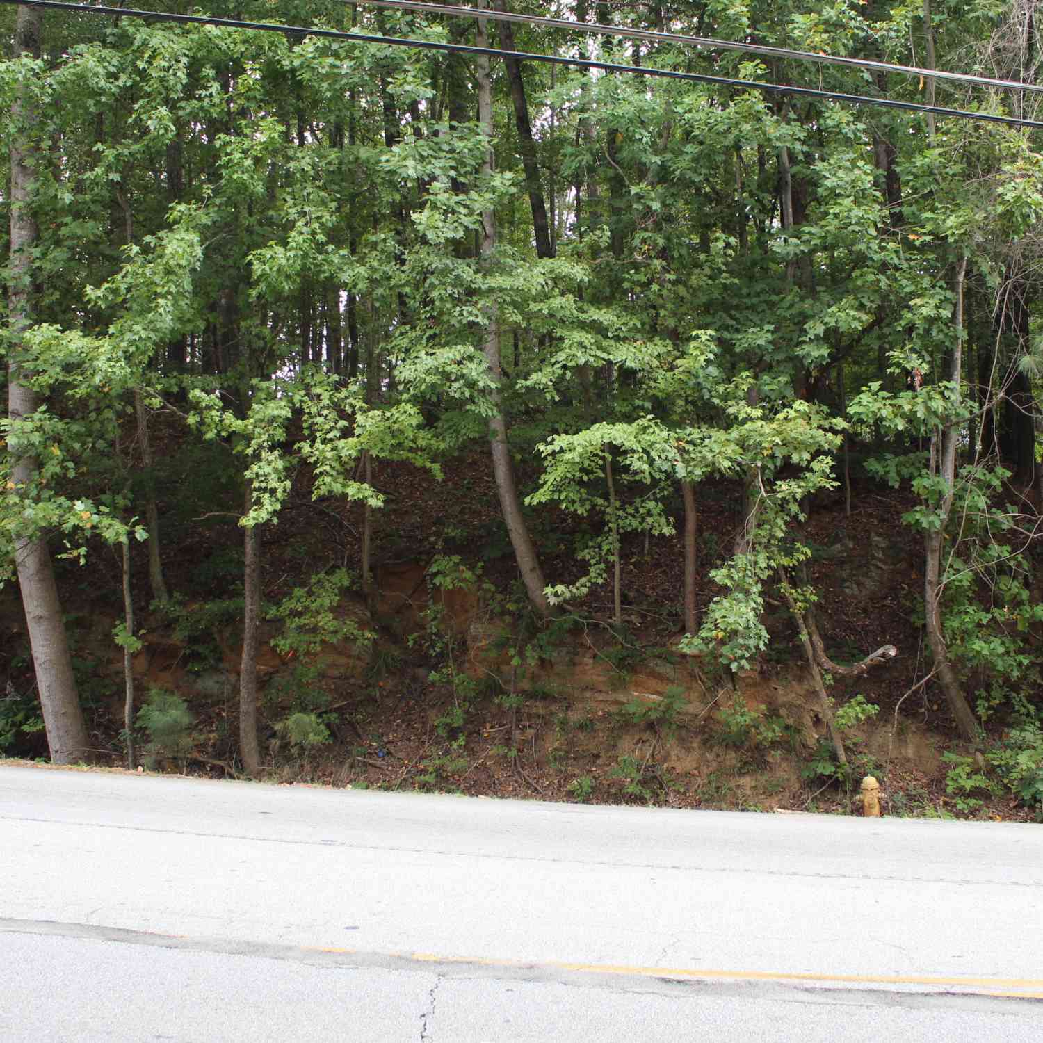 Vacant Land For Sale - 441 N Deshong Road<br/> Stone Mountain, GA 30087