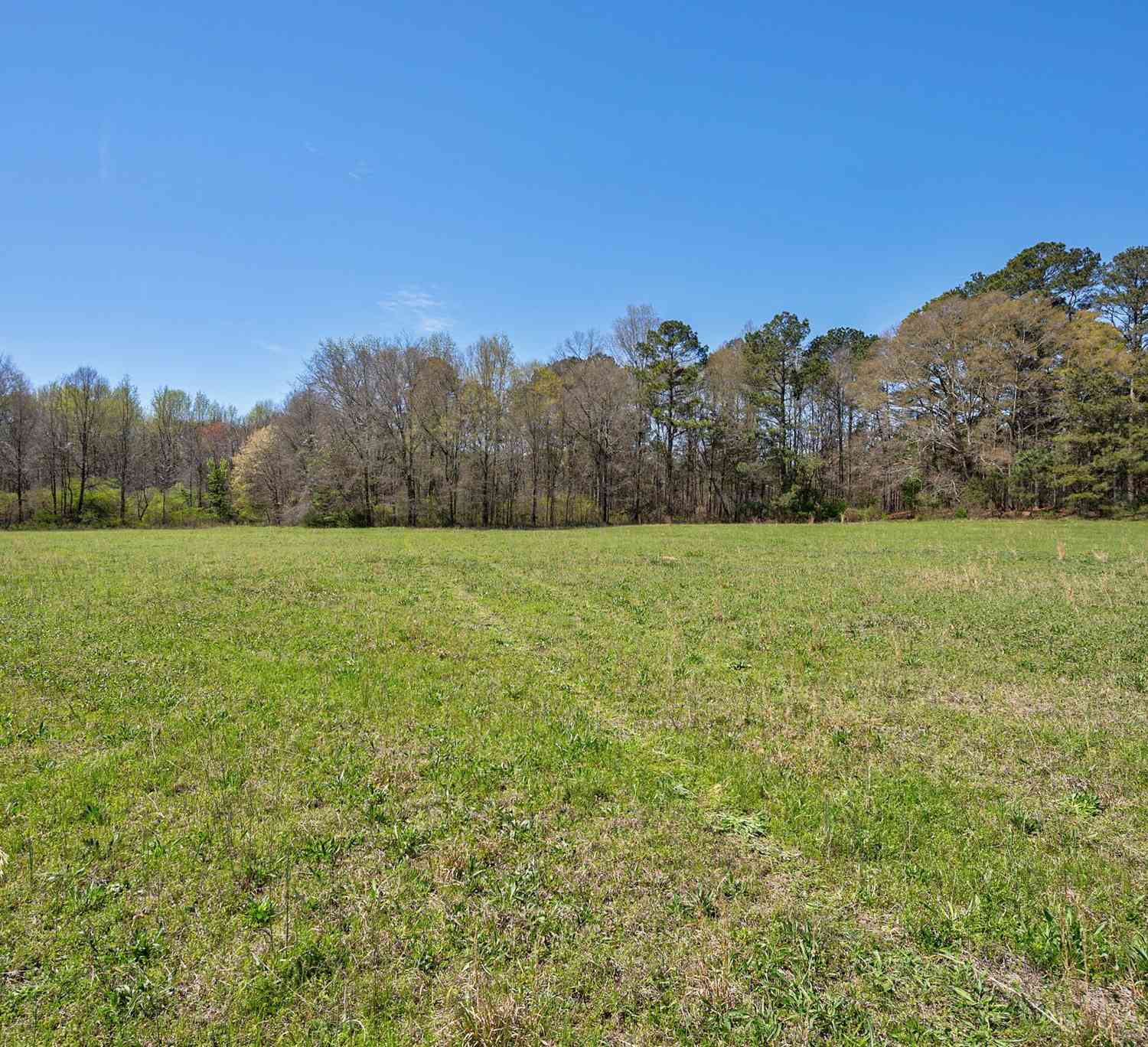 Vacant Land For Sale - Poplar Street<br/> Monroe, GA 30655