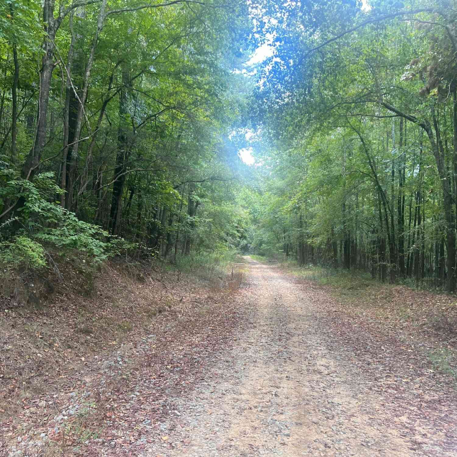Vacant Land For Sale - Charles Reeves Road<br/> Roberta, GA 31078